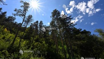 Cod galben de caniculă, joi, în opt județe din vestul, sud-vestul și nord-vestul României
