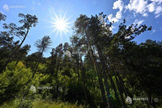 ANM: Vremea va fi într-un proces de încălzire, în următoarele două săptămâni; maximele vor atinge chiar și 39 de grade