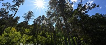 ANM: Vremea va fi într-un proces de încălzire, în următoarele două săptămâni; maximele vor atinge chiar și 39 de grade