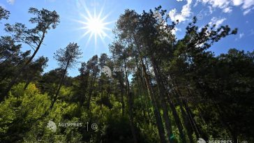 ANM: Vremea va fi într-un proces de încălzire, în următoarele două săptămâni; maximele vor atinge chiar și 39 de grade