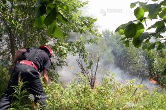 Tulcea: Circa 22 de hectare de pădure de pe malul Dunării, afectate de un incendiu