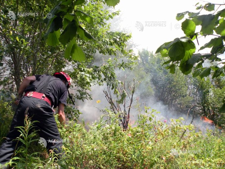 Tulcea: Circa 22 de hectare de pădure de pe malul Dunării, afectate de un incendiu