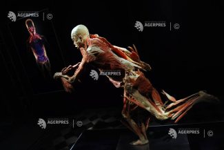 Gunther von Hagens, anatomistul german care expunea cadavre ”plastinate”, a decedat la 81 de ani