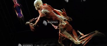 Gunther von Hagens, anatomistul german care expunea cadavre ”plastinate”, a decedat la 81 de ani