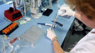 ANSVSA: Nu există cazuri confirmate de antrax la animale sau la oameni în județul Botoșani