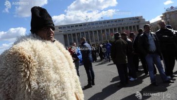 Zeci de fermieri din Botoșani vor participa la un protest al crescătorilor de ovine care va avea loc la București