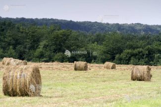 LAPAR: Omnibusul fitosanitar trebuie să țină cont de realitățile din fiecare stat-membru al UE