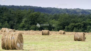 LAPAR: Omnibusul fitosanitar trebuie să țină cont de realitățile din fiecare stat-membru al UE