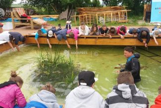 Covasna: Proiectul ‘Experiențe pentru toți’ continuă la Dalnic cu activități dedicate copiilor instituționalizați