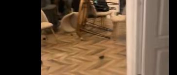 IPJ Dâmboviţa – Bărbat cercetat după ce, aflat sub influenţa alcoolului, a provocat distrugeri în pensiunea în care era cazat. Pagubele sunt evaluate la 20.000 de lei – FOTO