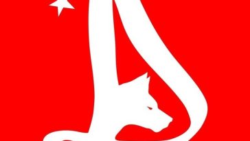 Dinamo lansează licitaţia pentru rebrandingul clubului, cu termen limită pe 8 iulie