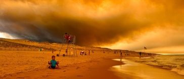 Suprafeţele arse în incendii de pădure în 2026 bat recordul din 2022, arată date satelitare EFFIS