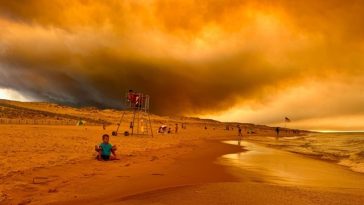 Suprafeţele arse în incendii de pădure în 2026 bat recordul din 2022, arată date satelitare EFFIS