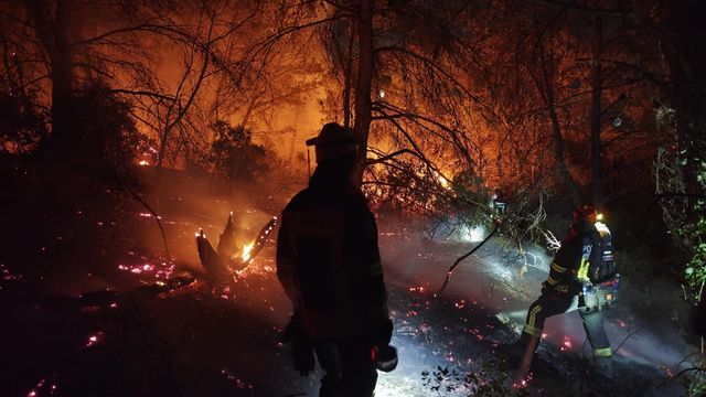 Pompierii români continuă misiunea de sprijin a autorităţilor franceze pentru stingerea incendiilor de pădure în sudul Franţei/ Cea mai recentă intervenţie a vizat un incendiu care risca să se extindă la mai multe gospodării