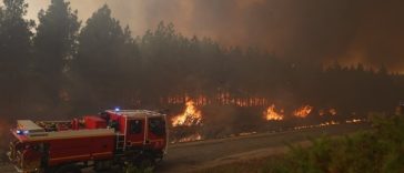 Incendiul din Gironde a fost ”stabilizat”, dar nu ”controlat”, anunţă ministrul francez de Interne Laurent Nunez şi îndeamnă la ”prudenţă” cu o zi înaintea intrării Franţei într-o nouă caniculă. 80 de pompieri, răniţi începând de miercuri