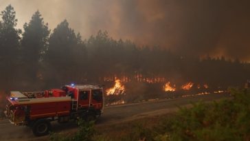 Incendiul din Gironde a fost ”stabilizat”, dar nu ”controlat”, anunţă ministrul francez de Interne Laurent Nunez şi îndeamnă la ”prudenţă” cu o zi înaintea intrării Franţei într-o nouă caniculă. 80 de pompieri, răniţi începând de miercuri