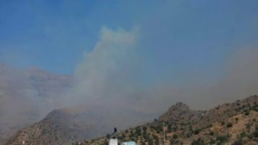 Doi pompieri greci mor în lupta împotriva unui incendiu în Creta, scăpat de sub control. Incendii alimentate de vânt fac ravagii pe insulele Paros şi Lesbos şi în regiunile Messenia şi Laconia, în Peninsula Peloponez. Zece sate, evacuate pe Insula Paros