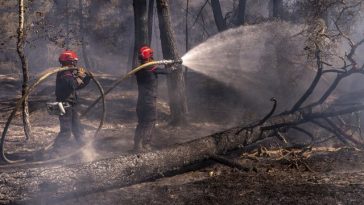 Emmanuel Macron, în timpul vizitei în regiunea Gironde, afectată de incendii: Este cea mai dificilă situaţie de la al Doilea Război Mondial încoace. Ne confruntăm cu un incendiu fără precedent, peste 60.000 de hectare au ars deja