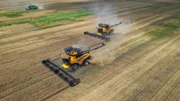 CITR – Insolvenţele din agricultură s-au dublat în prima jumătate a anului, 40% dintre firmele mari au probleme, din cauza variaţiilor de preţuri la cereale. Bacău, Hunedoara, Vaslui, zone vulnerabile