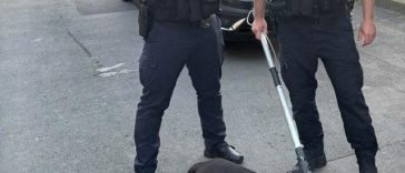 Intervenţie a jandarmilor din Tulcea, în urma unei sesizări privind un câine cu comportament agresiv, cel mai probabil din rasa Amstaff – FOTO