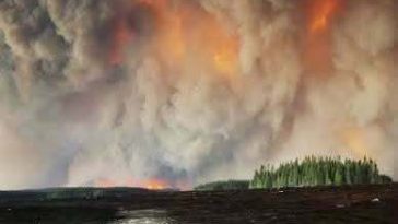 Provincia Ontario solicită sprijin federal pentru evacuări, pe fondul incendiilor forestiere care devastează localităţi izolate din Canada