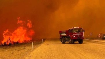 Turcia se luptă cu incendii în regiunile turistice