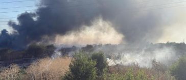 Vaslui: Incendiu de vegetaţie uscată izbucnit în satul Duda, comuna Duda-Epureni, exista pericolul ca focul să se extindă şi să ajungă şi la o locuinţă din apropiere