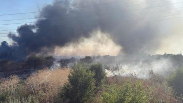 Vaslui: Incendiu de vegetaţie uscată izbucnit în satul Duda, comuna Duda-Epureni, exista pericolul ca focul să se extindă şi să ajungă şi la o locuinţă din apropiere