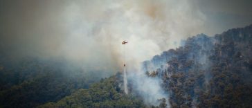 Incendiile din Spania au făcut o a 13-a victimă: o britanică de 93 de ani a decedat în urma rănilor suferite. Cel puţin 10 persoane sunt date dispărute. Apar acuzaţii că turiştii străini nu au fost avertizaţi de autorităţi