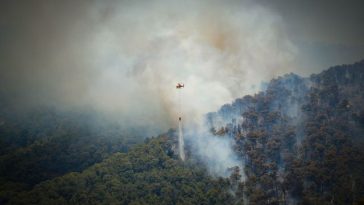 Incendiile din Spania au făcut o a 13-a victimă: o britanică de 93 de ani a decedat în urma rănilor suferite. Cel puţin 10 persoane sunt date dispărute. Apar acuzaţii că turiştii străini nu au fost avertizaţi de autorităţi