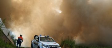 Cum au folosit piromanii pisicile pentru a răspândi incendiile forestiere în Italia