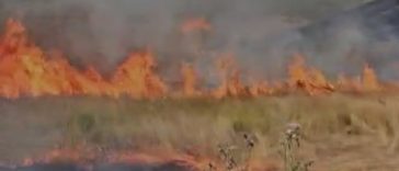 Mehedinţi: Incendiu de vegetaţie uscată pe 300 de hectare şi 60 de hectare de litieră