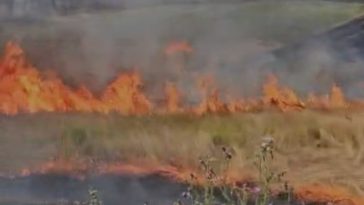 Mehedinţi: Incendiu de vegetaţie uscată pe 300 de hectare şi 60 de hectare de litieră