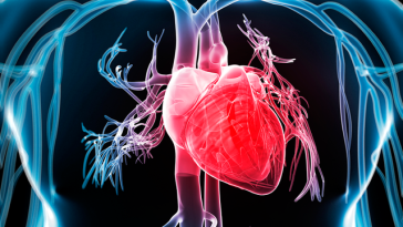 O bacterie din cavitatea bucală, asociată cu procesul de calcificare a valvei aortice
