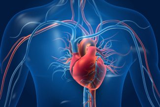 Legătura dintre expunerea la plastic şi bolile cardiovasculare, analizată într-un nou studiu
