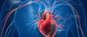 Legătura dintre expunerea la plastic şi bolile cardiovasculare, analizată într-un nou studiu