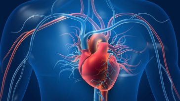 Legătura dintre expunerea la plastic şi bolile cardiovasculare, analizată într-un nou studiu