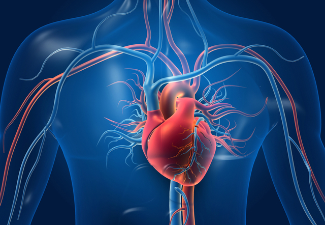 Legătura dintre expunerea la plastic şi bolile cardiovasculare, analizată într-un nou studiu