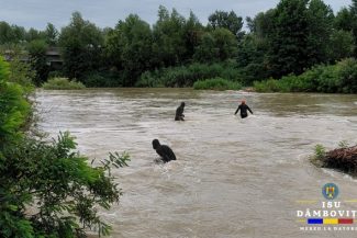 Pompierii din Dâmboviţa şi scafandrii continuă căutările celor doi minori dispăruţi cu o zi în urmă în apele râului Argeş/ Sfaturile autorităţilor, în contextul noilor avertizări de ploi torenţiale – FOTO