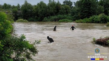 Pompierii din Dâmboviţa şi scafandrii continuă căutările celor doi minori dispăruţi cu o zi în urmă în apele râului Argeş/ Sfaturile autorităţilor, în contextul noilor avertizări de ploi torenţiale – FOTO
