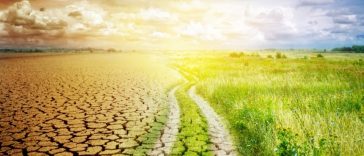 Schimbările climatice agravează seceta în toată Europa, afirmă oamenii de ştiinţă
