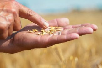 Fondul de investiţii GEM Global Yield, cu sediul în New York, intră în acţionariatul Norofert. Dezvoltarea pe pieţele din Statele Unite şi Brazilia, prioritară