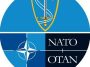 DRONĂ DOBORÂTĂ ÎN BUZĂU – NATO: Drona, identificată prompt/ Ameninţarea, doborâtă/ Acest efort multinaţional subliniază faptul că NATO este pregătită şi capabilă să reacţioneze la orice potenţiale ameninţări pentru a apăra teritoriul şi a proteja populaţi