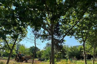Ministrul Mediului anunţă că încep lucrările la noul parc Grozăveşti/ Reacţia internauţilor la replica lui Ciprian Ciucu dată Dianei Buzoianu, care l-a felicitat pentru sprijinul acordat la proiect: „Ironie de autobază”