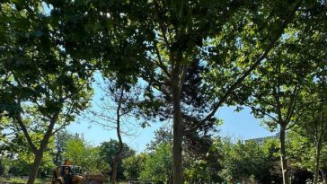 Ministrul Mediului anunţă că încep lucrările la noul parc Grozăveşti/ Reacţia internauţilor la replica lui Ciprian Ciucu dată Dianei Buzoianu, care l-a felicitat pentru sprijinul acordat la proiect: „Ironie de autobază”