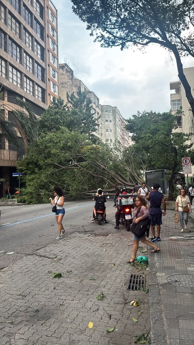 Cinci morţi şi pagube însemnate, după ce o furtună violentă a provocat haos în Rio de Janeiro – VIDEO