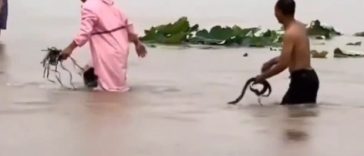 CNN – Ploile torenţiale aduc inundaţii devastatoare într-un oraş din China – şi o invazie de şerpi – FOTO, VIDEO