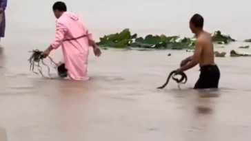 CNN – Ploile torenţiale aduc inundaţii devastatoare într-un oraş din China – şi o invazie de şerpi – FOTO, VIDEO