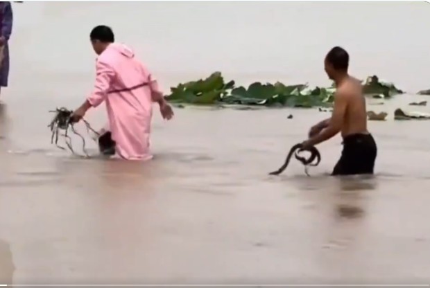 CNN – Ploile torenţiale aduc inundaţii devastatoare într-un oraş din China – şi o invazie de şerpi – FOTO, VIDEO