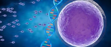 Cercetătorii au reprodus în laborator primele etape ale formării spermatozoizilor